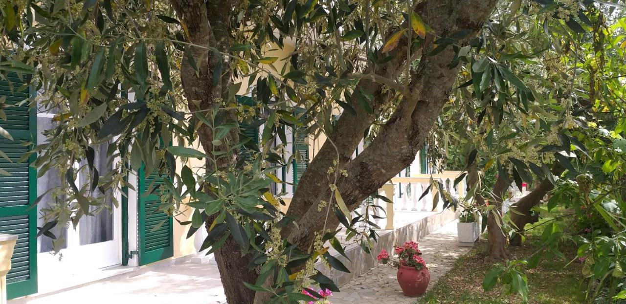 Kapetanios Luxury Aparthotel Agios Georgios  Ngoại thất bức ảnh